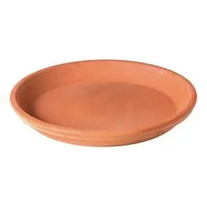 Deroma 0.95 In. H X 6.19 In. W X 6.19 In. D X 6.19 In. D Clay Sottovaso Plant Saucer Terracotta
