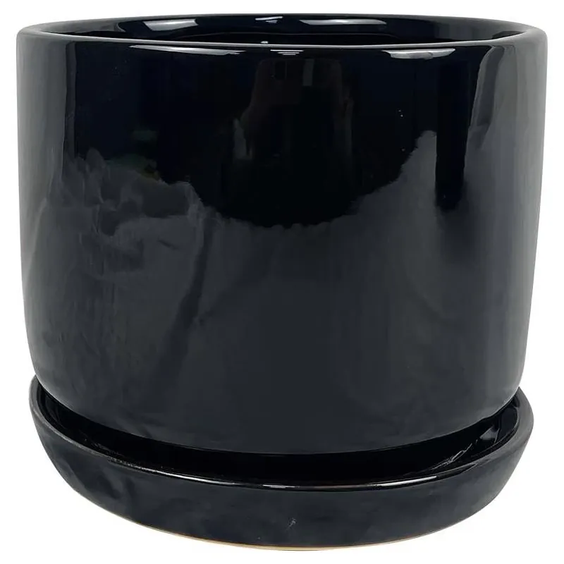 Border Concepts 8" Black Ceramic Cover Pot With Saucer – Indoor Plant Container
