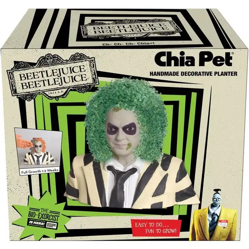 Beetlejuice‑Inspired Clay Chia Pet Planter – Unique Decorative Pot