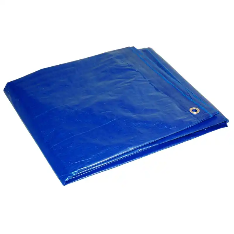 20 Ft. X 30 Ft. Medium Duty Blue Polyethylene Tarp With Grommets