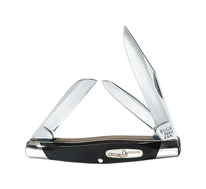 Buck Cadet Black 420 Hc Stainless Steel 5.75 In. Pocket Knife