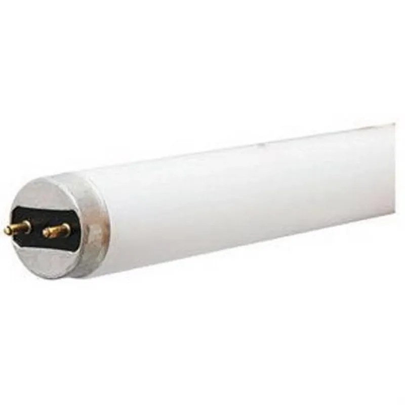 GE Fluorescent Cool White 48 In. G13 (Medium Bi-Pin) T8 Linear Fluorescent Bulb 1 Pk