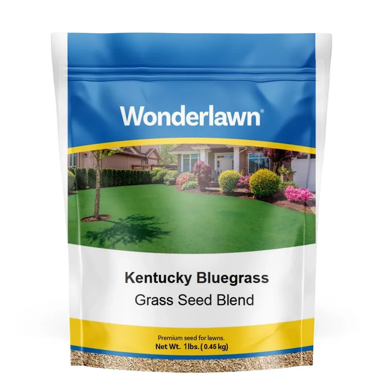 Kentucky Bluegrass Grass Seed 1 Lb. For 500 Sq. Ft. Coverage