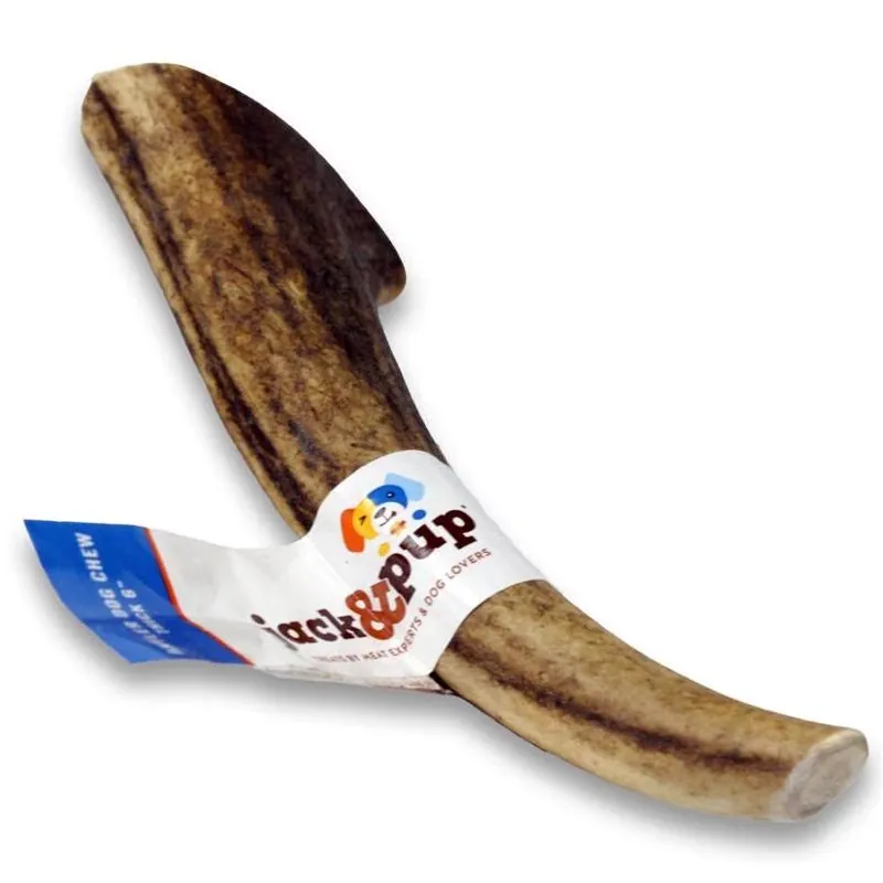 Jack & Pup 6‑Inch Elk Antler Chew – Grain‑Free, Gluten‑Free Natural Dog Dental Toy (1 Count)