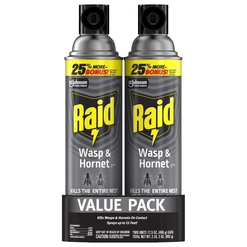 Raid Outdoor Wasp & Hornet Spray – 17.5 oz Fast‑Acting Aerosol