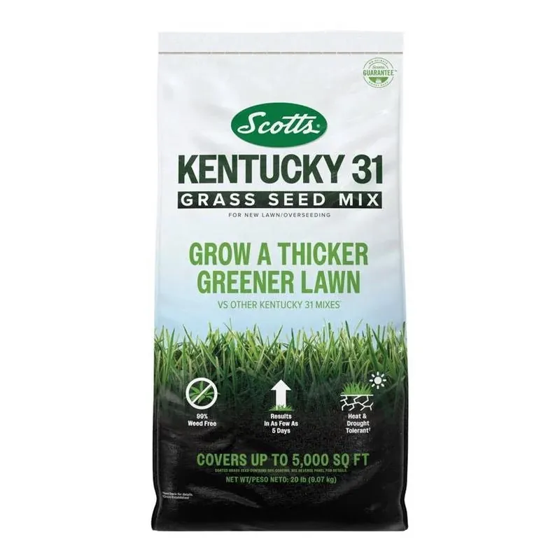 Scotts Kentucky 31 Premium Lawn Seed – 20 lb Full‑Sun Mix