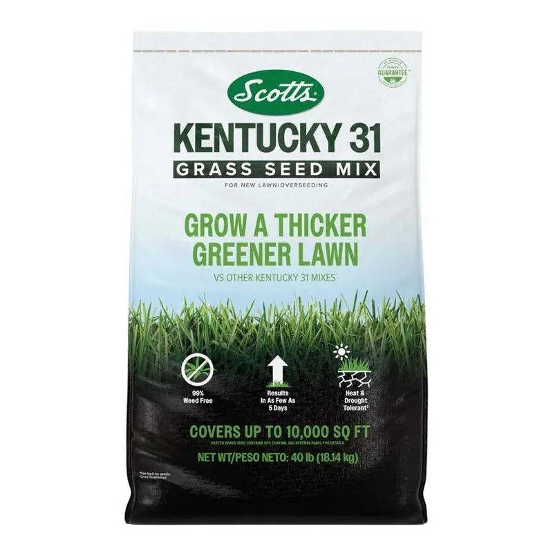 Scotts Kentucky 31 Premium Lawn Seed – 40 lb Full‑Sun Blend