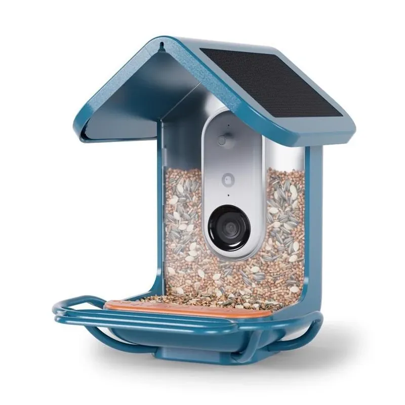 Bird Buddy Solar Smart Bird Feeder With 4‑Cup Perch Extender
