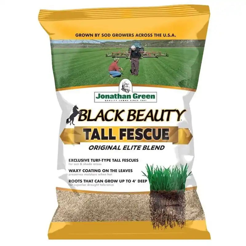 Jonathan Green Black Beauty Tall Fescue Seed – 3 lb – Sun & Shade Lawn Solution