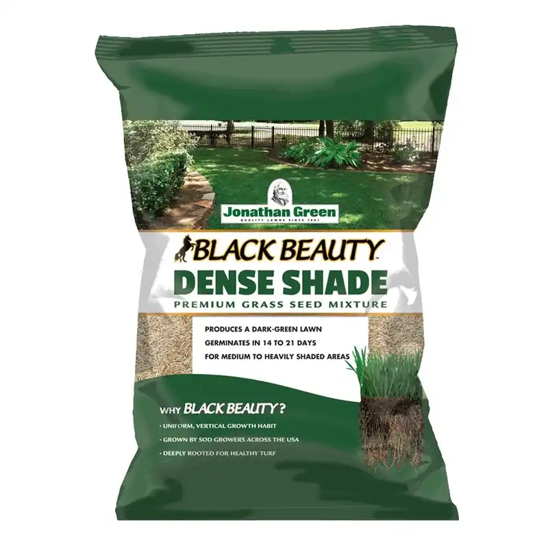 Black Beauty Dense Shade Grass Seed Mixture, 1 Lb For Shady Lawns