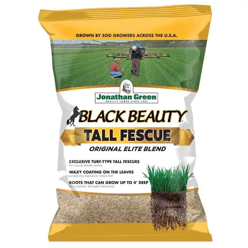Jonathan Green Black Beauty Tall Fescue Seed – 15 lb Sun & Shade Lawn Blend