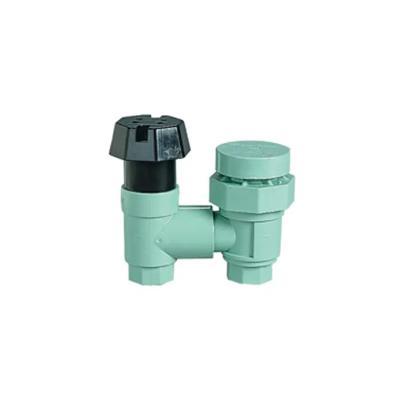 Underground Sprinkler Anti-Siphon Valve, 1-In.