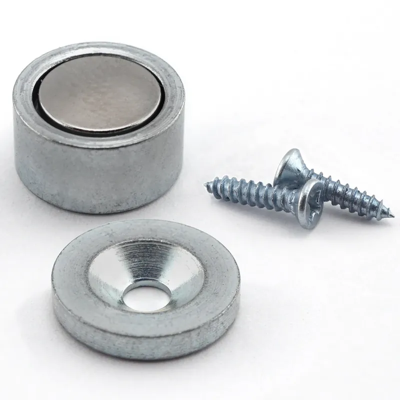 Magnet Source .25 In. L X .5 In. W Silver Super Latch Magnets 6 Lb. Pull 2 Pc