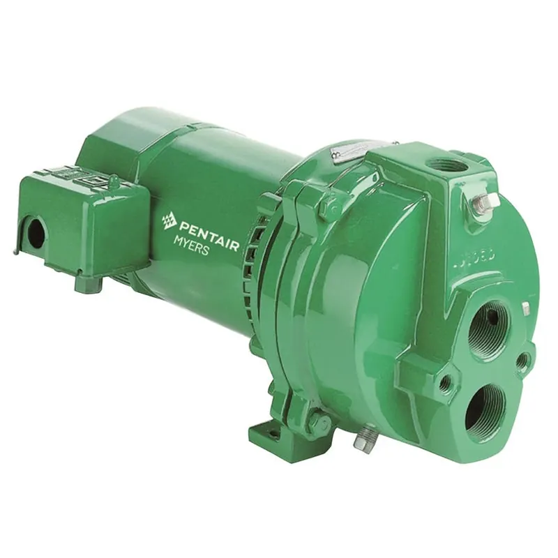 Myers 1 Hp 18 Gpm Cast Iron Convertible Jet Pump