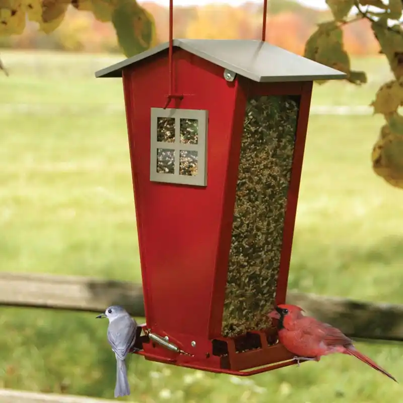 Snack Shack Bird Feeder, Squirrel-Resistant, Holds 7 Lbs.