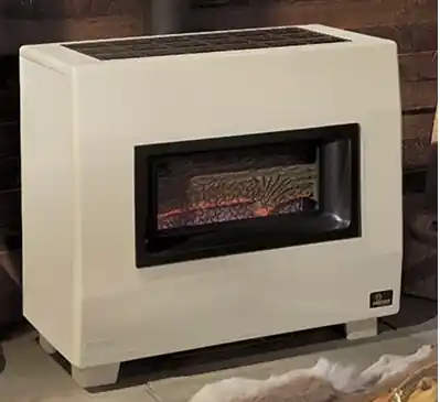 65K BTU VENTED GAS HEATER LP