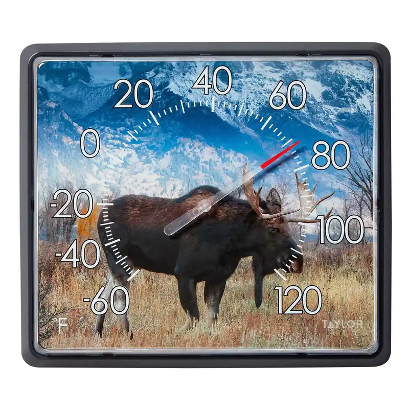 Taylor Moose Dial Thermometer Plastic Multicolored 14 In. Wall Mount