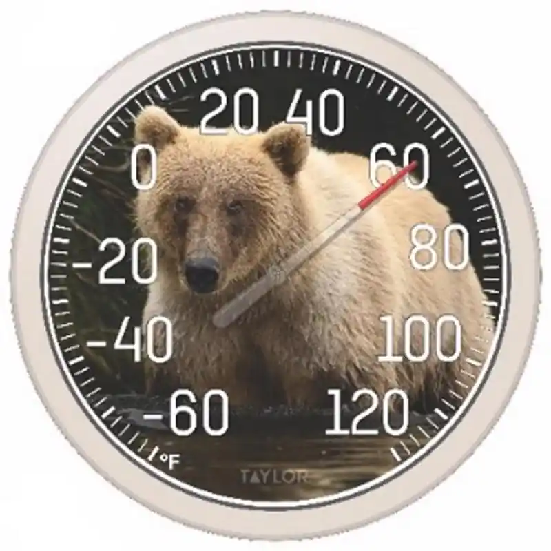 Taylor Bear Dial Thermometer Plastic Multicolored 13.25 Inch Wall Mount