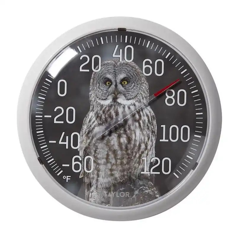 Owl Thermometer, 13.25 In. Round