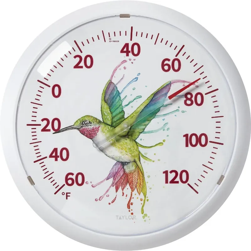 13-1/2 In. Outdoor Wall Thermometer -60 To 120 Degrees Fahrenheit With Hummingbird Art