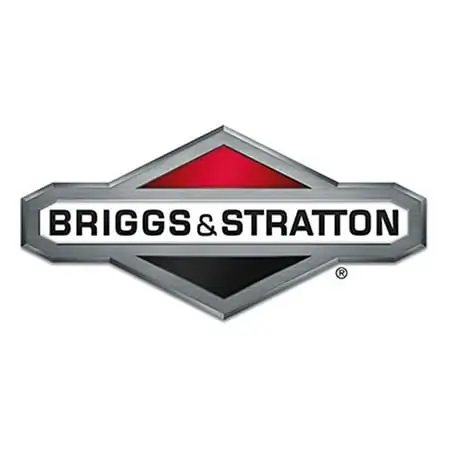 Briggs & Stratton 4248 Filter (5 X 799579)
