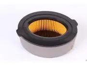 Genuine Mtd 951-10794 Air Filter For Bolens, Columbia, Huskee, Troy Bilt, Craftsman