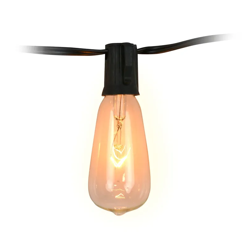 Incandescent St40 Edison Light Set Clear 10 Ft With 10 Lights