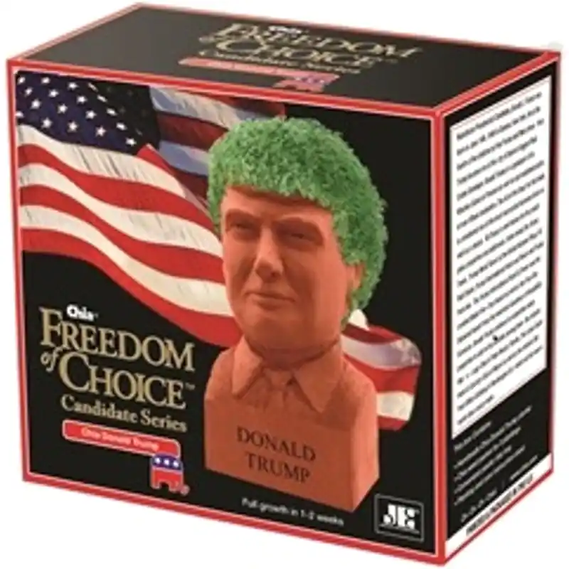 Chia Pet Donald Trump Decorative Planter Clay 1 Pk