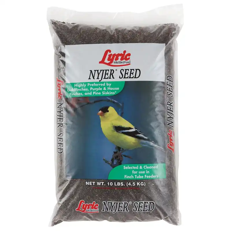 Nyjer Seed Bird Food, 10 Lbs.