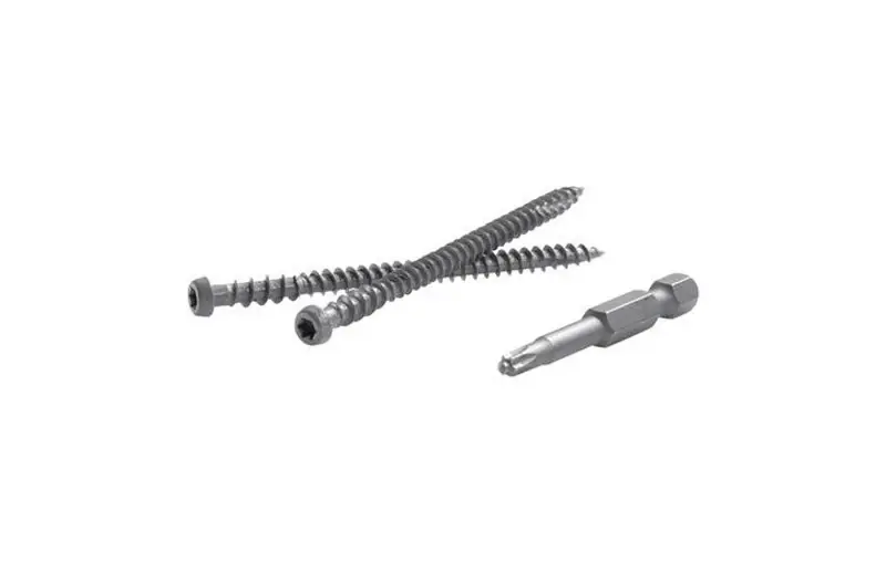FastenMaster TrapEase No. 20 X 2-1/2 In. L Lava Rock Torx Ttap Star Head Composite Deck Screws 350 P