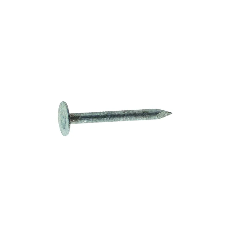 7/8 In. 11 Gauge Electrogalvanized Roofing Nails, 50 Lb Box, 15300 Count