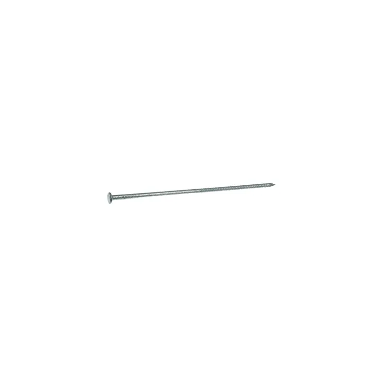 60d 6 In. Pole Barn Hot-dipped Galvanized Steel Nail Flat Head 50 Lb Box