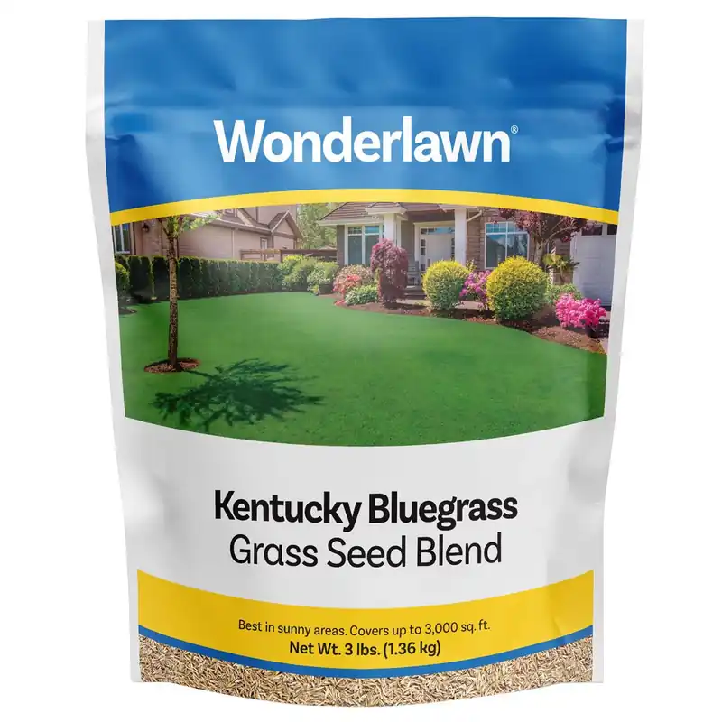 Kentucky Bluegrass Sun Or Shade Grass Seed 3 Lb - Ideal For Small Lawns