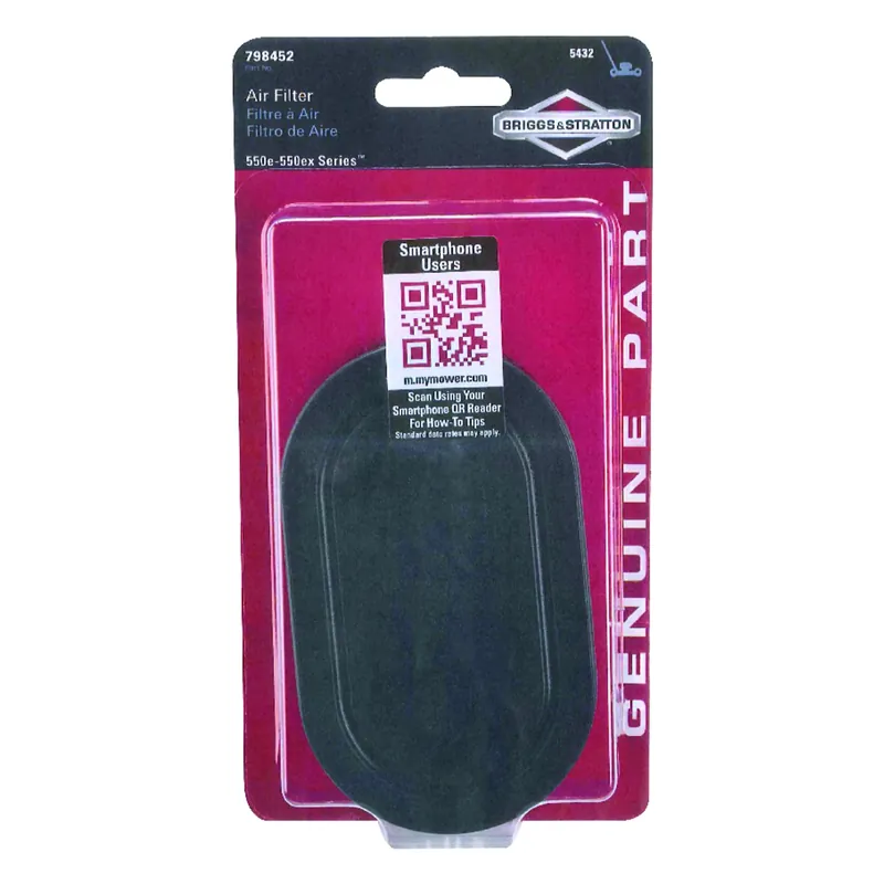 Briggs & Stratton 550e-550ex Small Engine Air Filter For 550e-550ex Series
