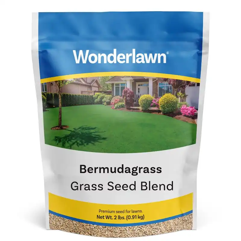 Wonderlawn Bermuda Grass Seed 2 Lb For Full Sun And Warm Climates
