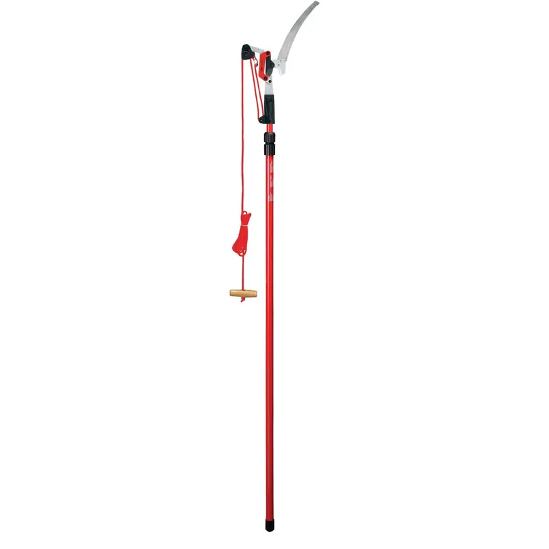 Compound-Action Tree Pruner