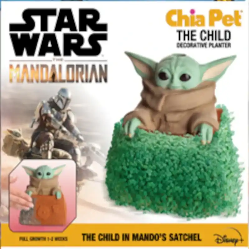 Chia Pet Star Wars Child Mandalorian Decorative Planter Clay 1 Pk