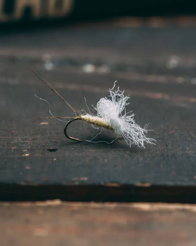 Kelly Galloup‘s QB Spinner
