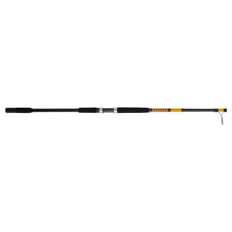 Ugly Stik Bigwater Spinning Rod