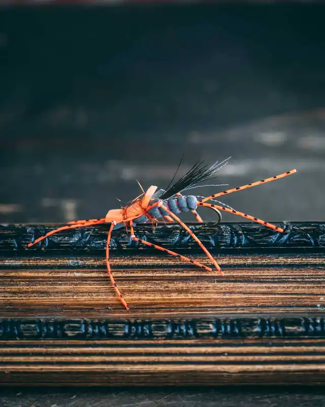 64 Impala - Salmonfly - 8