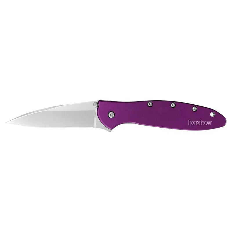 Kershaw Leek Fold Knife