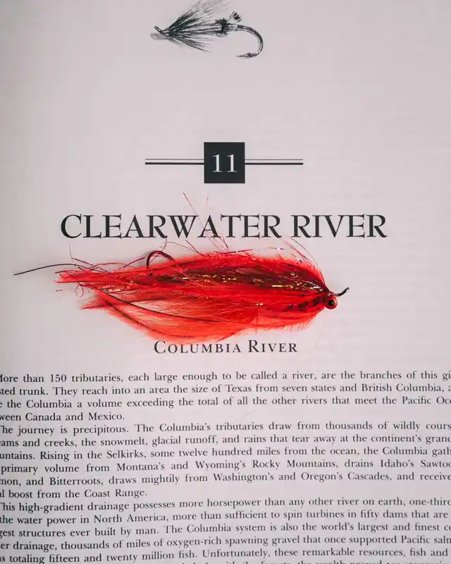 A.S.B. Animal Two Station Steelhead Fly