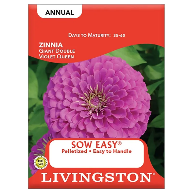 Livingston Seed Sow Easy Giant Double Violet Queen Zinnia Seeds