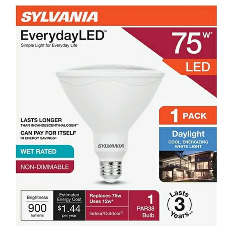 Sylvania 5000K Everyday Daylight LED Bulb