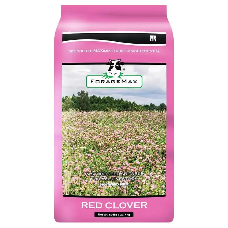 X-Seed Medium Red Clover Grass Seed