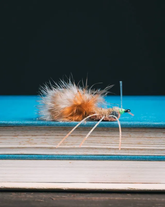 Enrico Puglisi‘s Secret Crab