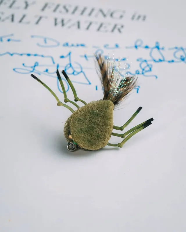 Key‘s Permit Crab