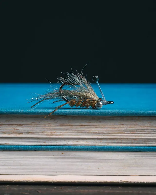 Enrico Puglisi‘s Ghost Shrimp
