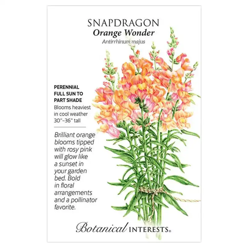 Botanical Interests Orange Wonder Snapdragon Seeds
