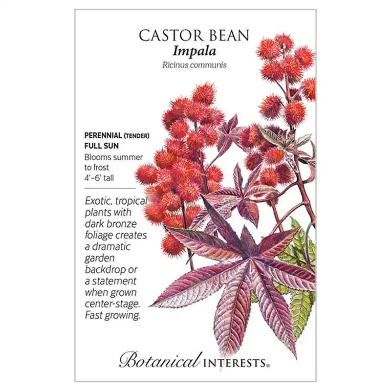 Botanical Interests Impala Castor Bean Seeds